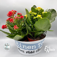 Lade das Bild in den Galerie-Viewer, Gewerbelizenz - Digiset "Schlimmer geht immer"