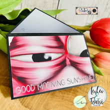 Lade das Bild in den Galerie-Viewer, Gewerbelizenz - Digiset "Ingo Flamingo"