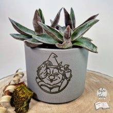 Lade das Bild in den Galerie-Viewer, Digiset "Klein aber fein"