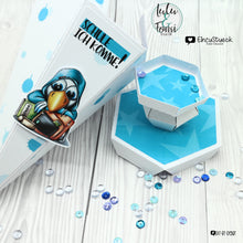 Lade das Bild in den Galerie-Viewer, Gewerbelizenz - Digiset "Schulmannie"