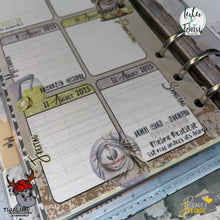 Lade das Bild in den Galerie-Viewer, Gewerbelizenz - Digiset "Filmriss"