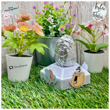 Lade das Bild in den Galerie-Viewer, Gewerbelizenz - Digiset "Funny Bunny"