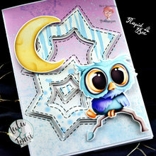 Lade das Bild in den Galerie-Viewer, Gewerbelizenz - Digiset "Party Eule"