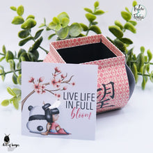 Lade das Bild in den Galerie-Viewer, Gewerbelizenz - Digiset "Cherry Blossom"