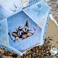 Lade das Bild in den Galerie-Viewer, Gewerbelizenz - Digiset "Nordlicht"