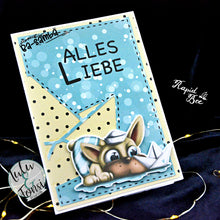 Lade das Bild in den Galerie-Viewer, Gewerbelizenz - Digiset "Nordlicht"