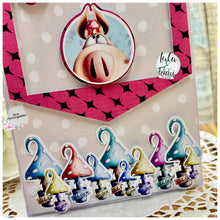 Lade das Bild in den Galerie-Viewer, Gewerbelizenz - Digiset "Schwein gehabt"