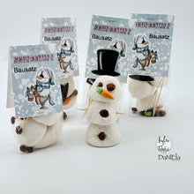 Lade das Bild in den Galerie-Viewer, Diggiset "Winter Fun"