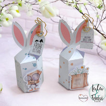 Lade das Bild in den Galerie-Viewer, Digiset "Osterüberraschung"