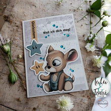 Lade das Bild in den Galerie-Viewer, Gewerbelizenz - Digiset "Kleiner Stern"