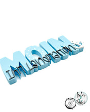 Lade das Bild in den Galerie-Viewer, Gewerbelizenz - Digiset "Wochen-Ente"