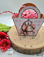 Lade das Bild in den Galerie-Viewer, Digiset "Chaos Coordinator"