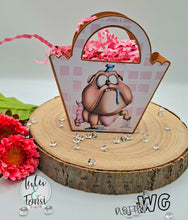 Lade das Bild in den Galerie-Viewer, Digiset "Chaos Coordinator"