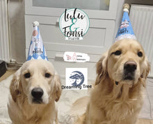 Lade das Bild in den Galerie-Viewer, Digiset "Pausenclown"