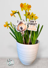 Load image into Gallery viewer, Digistamp "Sumse Biene"