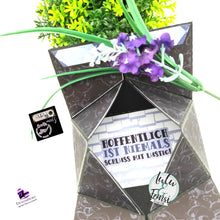 Load image into Gallery viewer, Digiset "Lachkatze"