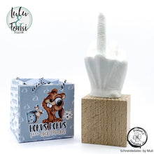 Lade das Bild in den Galerie-Viewer, Gewerbelizenz - Digiset "Alles Kacki"