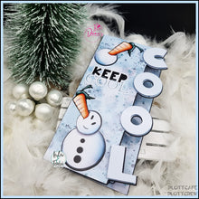 Lade das Bild in den Galerie-Viewer, Gewerbelizenz - Digiset "Keep Cool"