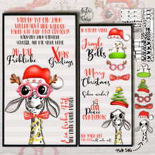 Lade das Bild in den Galerie-Viewer, Adventskalender 2022