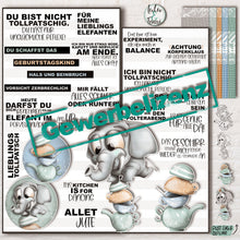 Lade das Bild in den Galerie-Viewer, Gewerbelizenz - Digiset &quot;Porzellanladen&quot;
